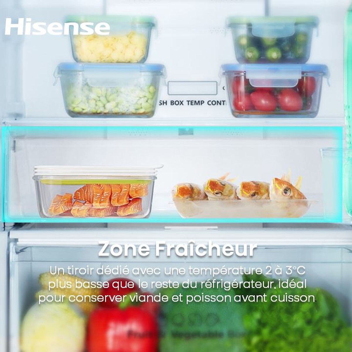 Réfrigérateur congélateur en bas Hisense RB3N300NECA