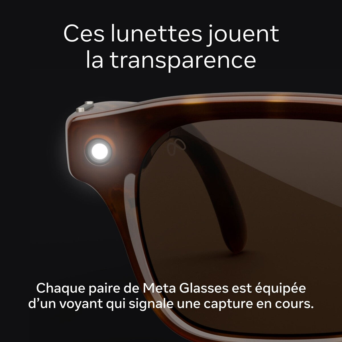 Lunettes connectées IA Meta Nova Standard Noir Verres polarisés gris