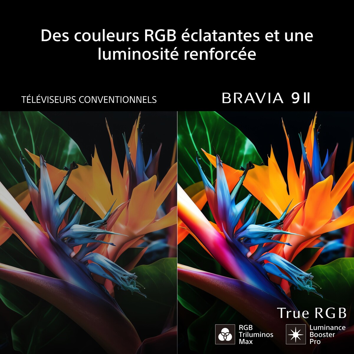TV LED Sony TRUE RGB 85 BRAVIA 9II 215 cm 2026