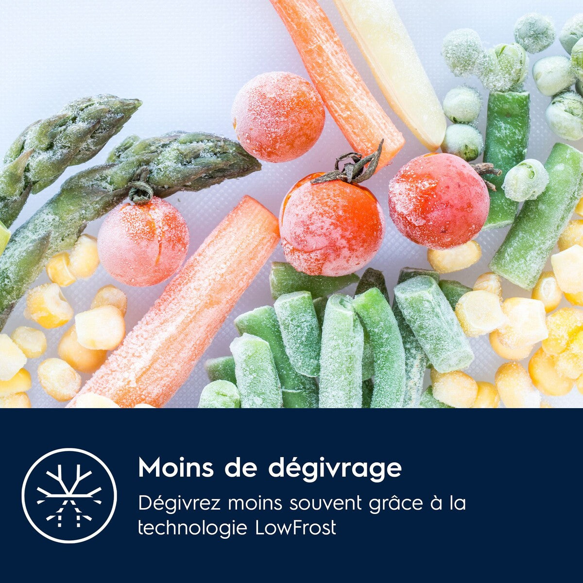 Réfrigérateur congélateur en bas Electrolux KNA6LE18S encastrable 178 cm